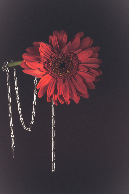 THE FANCY PAPER CLIP CHAIN NECKLACE - RHODIUM PLATED (LAUNCHING SOON)