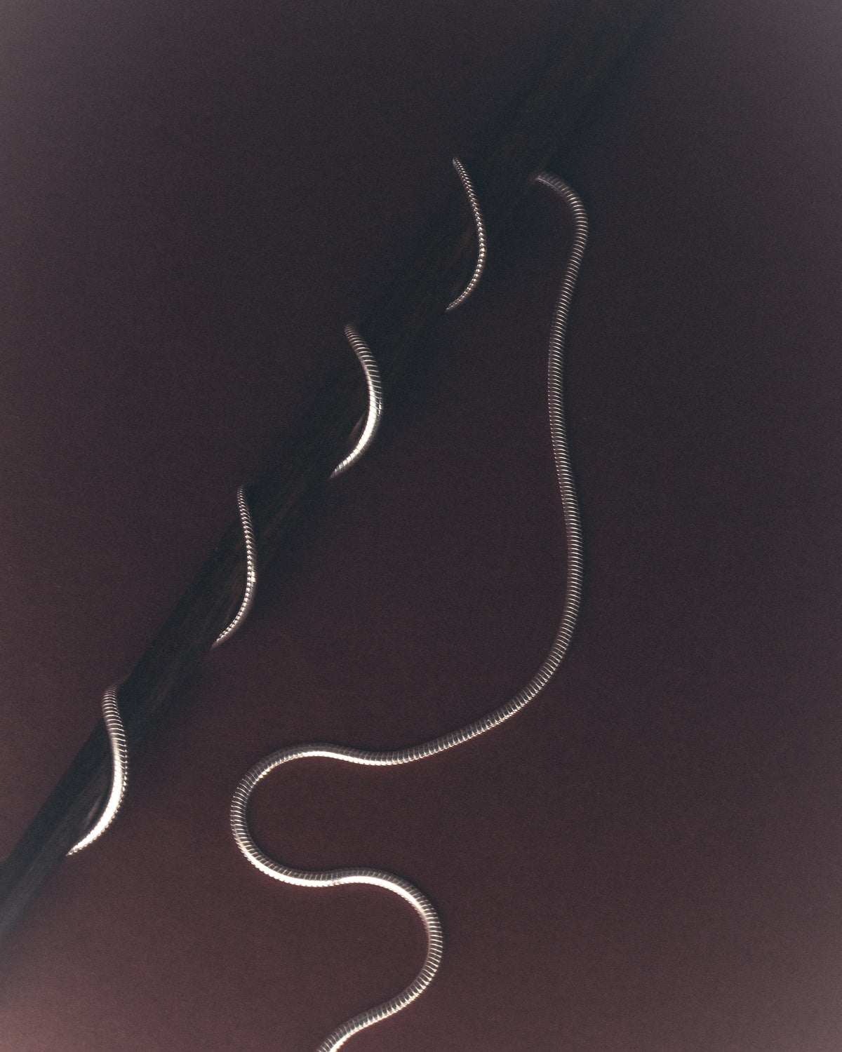 LE COLLIER CHAÎNE SERPENT (BIENTÔT DISPONIBLE)
